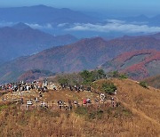 만추 절정…민둥산 억새 물결