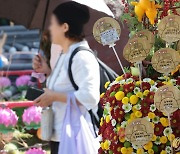 수능 고득점 응원 메시지