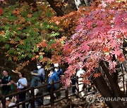 도봉산 물들인 단풍