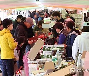 '오감으로 즐겼다'…양구군 펀치볼 시래기사과축제 성료