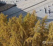 내일 대체로 흐리고 다소 포근…모레 10도 이상 '뚝' 추위 시작