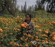 Mexico Ancient Farming Threat