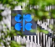 "OPEC+ 8개국, 자발적 원유 감산 연말까지 추가 연장 합의"