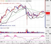 1.3조원 규모 30년물 입찰 소화…0.5bp 미만 등락하며 보합[채권분석]