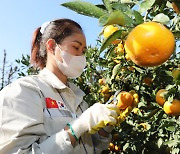 “한국, 베트남 노동자에 월급 제일 많이 줘”...일본보다 33% 높다