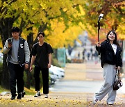 [포토] 한국의 가을을 담다