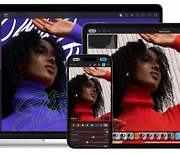 애플, 위성 통신·이미지 편집SW 기업에 '뭉칫돈'… “AI 생태계 강화”