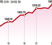 "설마 더 오르겠어?"… 달러 인버스·환헤지에 몰리는 개미들