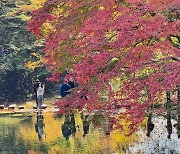 기온 ‘뚝’…전국 흐리고 곳곳에 비·강한 바람