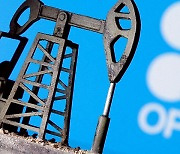 미국 대선 앞두고 OPEC+, 연말까지 증산 연기 결정