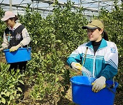 “베트남 노동자에 월급 제일 많이 주는 나라는 ‘한국’”