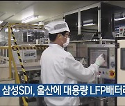 삼성SDI, 울산에 대용량 LFP배터리 생산 구축