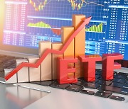 "밸류업 ETF 상장…'경영권 분쟁' 고려아연, 지수 편출 고려해야"