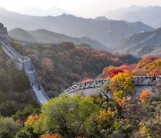 중국發 무비자 훈풍에…여행주 잇따라 상한가 직행