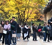 [포토에세이] 가을의 악사 거리