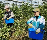 “한국이 돈 가장 많이 줘요”...국제결혼 1위 이 나라 한국에 ‘엄지척’