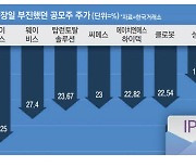 기관 '묻지마 베팅' 후폭풍…공모주 줄하락