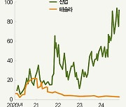 ‘깜짝 실적’ 테슬라, 성장성은 높지만…