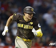 “유격수로는 두 번째” MLB.com, 김하성 FA 랭킹 17위 지목