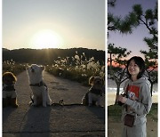 장나라, 반려견 교육관 터졌다…❤️ 6세 연하 남편 ‘혼자 음지에서 덜덜’