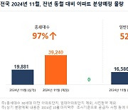 11월 아파트 분양, 전년 비 97% 증가…수도권 청약만 2만세대