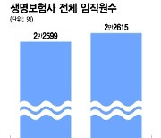 사상최대 실적 손보사 대규모 희망퇴직…생보사는 "안 해요"