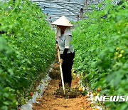 한국, 베트남 노동자에 월급 많이 주는 국가 1위…"日보다 33% 더 준다"