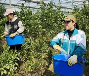 베트남 노동자에 월급 제일 많이 주는 나라는 '한국'