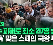 [영상] 수해 현장 찾은 스페인 국왕 부부, 분노한 주민들 '진흙' 던져