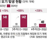 더 독해진 가을모기… 이번주 영하권 추위에도 ‘윙~’