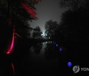 Belgium Light Installation