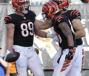 Raiders Bengals Football