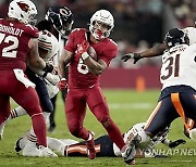 Bears Cardinals Football