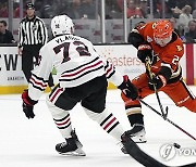 Blackhawks Ducks Hockey