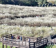 산굼부리의 가을