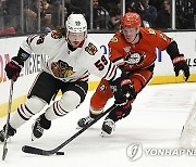 Blackhawks Ducks Hockey