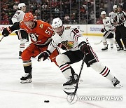 Blackhawks Ducks Hockey