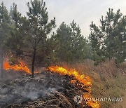 Texas Wildfire