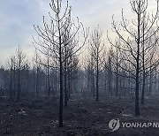 Texas Wildfire