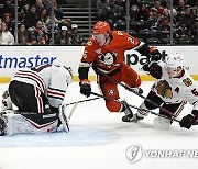 Blackhawks Ducks Hockey