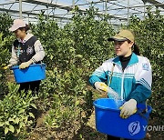 베트남 노동자에 월급 제일 많이 주는 나라는 '한국'