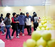 경북 청송 사과 축제 성료…46만명 다녀 가