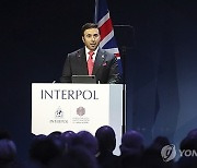 Britain Interpol