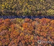 HUNGARY NATURE