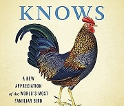 Book Review - What the Chicken Knows