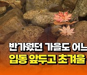 [자막뉴스] 반가웠던 가을도 어느새 안녕...입동 앞두고 초겨울 추위 성큼