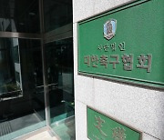 [속보] 문체부, 대표팀 감독 재선임 방안 등 하차 치유할 방안 강구 통보