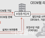 자녀에 모집 수수료 부당 지급…CEO보험 사라지나