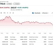 中 판매 부진, 테슬라 2.47% 급락…6일 연속 하락