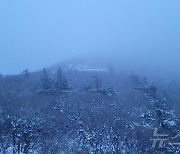 설악산에 내린 눈